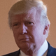 Illustration for article titled Donald Trump Doesnt Like This Any More Than You Do